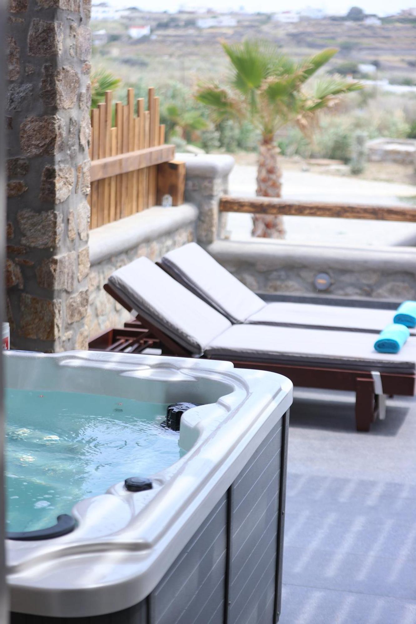 The George With Private Pool, Close To - Chora *